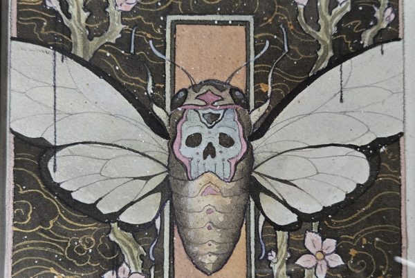 Death Moth